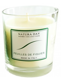 Bougie parfumée Feuilles de Figuier