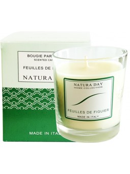 Bougie parfumée Feuilles de Figuier